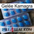 Gelée Kamagra viagra2